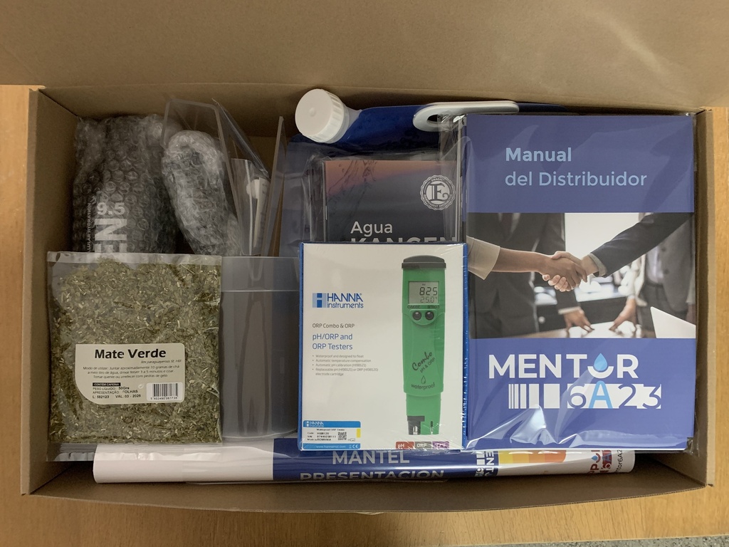 Mentor 6A2-3 BUSINESS PRESENTATION PACK